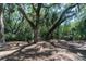 Image of old tree creating cool shade with Spanish moss with greenery in the background at 554 Double Eagle Trce, Seabrook Island, SC 29455
