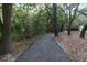 Scenic walking path shaded by trees and foliage, ideal for relaxing strolls and enjoying the outdoors at 554 Double Eagle Trce, Seabrook Island, SC 29455