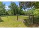 Gated grassy field surrounded by mature trees, provides ample space and privacy at 7239 Commodore Rd, Hollywood, SC 29449