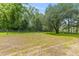 Grassy field enclosed by a fence with mature trees lining the perimeter at 7239 Commodore Rd, Hollywood, SC 29449
