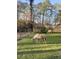 A fenced pasture with grazing ponies shows the country feel of this property at 7239 Commodore Rd, Hollywood, SC 29449