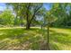 Spacious yard with scattered mature trees enclosed by a chain link fence at 7239 Commodore Rd, Hollywood, SC 29449