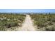 Sandy path leading to the beach with dunes, grasses, and ocean views in the distance at 9000 Palmetto Dr # C104, Isle of Palms, SC 29451