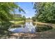 Scenic pond view with surrounding trees, creating a serene and picturesque natural setting at 113 Southernwood Dr, Ladson, SC 29456