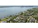 Picturesque aerial view of a waterfront community with private docks and stunning harbor views at 1527 Wando View St, Charleston, SC 29492