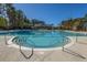Large community pool with steps, surrounded by trees and lounge chairs at 1545 Calaveras Cir, Mount Pleasant, SC 29466
