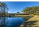 Community pond surrounded by lush greenery and walking trails, offering a serene and peaceful environment at 1545 Calaveras Cir, Mount Pleasant, SC 29466