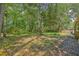 Lush backyard with mature trees and a surrounding fence offering a private outdoor space at 169 Southwold Cir, Goose Creek, SC 29445