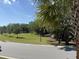 Community green space featuring common lawn, street lamp, curb lined street, and blue sky at 2200 Hamlin Sound Cir, Mount Pleasant, SC 29466