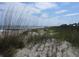 Coastal living with a scenic beach view in a tranquil setting with beach access and sea oats at 2401 Palmetto Blvd, Edisto Island, SC 29438
