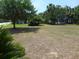 Large grassy lot with mature trees at 2401 Palmetto Blvd, Edisto Island, SC 29438