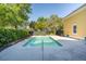 Backyard featuring a private swimming pool surrounded by lush landscaping, creating a serene and secluded outdoor space at 2449 Daniel Island Dr, Daniel Island, SC 29492