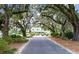 A long shot of the property's entrance and manicured lawn framed by mossy trees creating a welcoming approach at 315 Clubview Rd, Summerville, SC 29485
