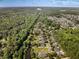 Scenic aerial view of a residential neighborhood with pond and natural tree buffer at 3426 Acorn Drop Ln, Johns Island, SC 29455