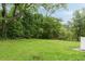 Expansive backyard featuring lush lawn space and mature trees, offering a serene outdoor setting at 36 Nicholson St, Charleston, SC 29407