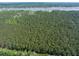 A picturesque view of the wooded land ready for development or preserved as a private retreat at 4855 Retriever Rd, Wadmalaw Island, SC 29487