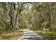 A dirt road winds through a forest with moss-covered trees at 4855 Retriever Rd, Wadmalaw Island, SC 29487