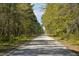 A long dirt road is lined with trees on either side at 4855 Retriever Rd, Wadmalaw Island, SC 29487