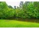 Lush backyard featuring mature trees and a tranquil pond, creating a peaceful outdoor setting at 493 Nelliefield Trl, Wando, SC 29492