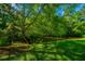 Scenic backyard featuring mature trees and a tranquil pond for enjoying nature's beauty at 493 Nelliefield Trl, Wando, SC 29492