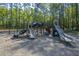 A modern playground with slides and climbing structures provides a fun and safe play area at 493 Nelliefield Trl, Wando, SC 29492