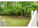 View of the backyard with green grass and mature trees, surrounded by a wooden fence at 5056 Piedmont Ave, North Charleston, SC 29406