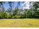 View of a spacious backyard with lush green grass, mature trees, and a black fence at 524 Richfield Way, Summerville, SC 29486