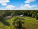 Picturesque horse farm with expansive green pastures and a well-maintained barn, set against a lush wooded backdrop at 5348 Mccullough Dam Rd, Wadmalaw Island, SC 29487
