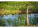 Picturesque pond with fountain surrounded by lush greenery, adding a serene touch to the landscape at 5348 Mccullough Dam Rd, Wadmalaw Island, SC 29487