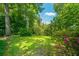 Landscaped backyard with large trees, green grass and pink flowering bushes at 104 S Ansel Xing, Goose Creek, SC 29445