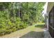 Grassy backyard with mature trees and vegetation at 1054 Bennington Dr, Charleston, SC 29492