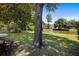 Lush backyard featuring mature trees, a tranquil pond, and neighborhood views at 1232 Palmetto Peninsula Dr, Mount Pleasant, SC 29464