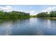 Scenic lake view featuring a central fountain, surrounded by lush greenery and a clear blue sky, capturing the essence of tranquility at 1510 Old Rosebud Trl, Awendaw, SC 29429
