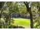 Scenic golf course view framed by lush trees and Spanish moss creating a tranquil backdrop at 153 High Hammock Villas, Seabrook Island, SC 29455