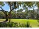 Scenic view of the lawn and surrounding mature trees with some building structures in the distance at 153 High Hammock Villas, Seabrook Island, SC 29455