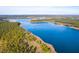 Breathtaking aerial view of the lakefront property surrounded by dense trees at 199 Belfort Pl, Summerville, SC 29486
