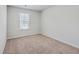 A cozy bedroom featuring neutral carpet, a window with blinds, and ample natural light at 260 Sweet Cherry Ln, Summerville, SC 29486