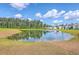 Scenic pond with lush landscaping, a treeline in the background, and manicured grassy shores at 260 Sweet Cherry Ln, Summerville, SC 29486