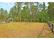 Spacious backyard featuring mature trees, an outdoor playset, and a charming gazebo at 393 Tupelo Lake Dr, Summerville, SC 29486