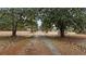 Long driveway with mature trees provides access to the home at 4689 Causey Pond Rd, Awendaw, SC 29429