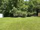 Wide shot of backyard with lush green grass and mature trees, offering a sense of privacy at 4804 Oak Haven Pl, Summerville, SC 29485