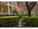 Beautiful two-story home with lush landscaping, manicured hedges, and a stone path leading to the entrance at 5 Logan St, Charleston, SC 29401