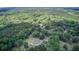 Expansive aerial view of the property with lush greenery, showcasing serene and private setting at 5126 Highway 174, Hollywood, SC 29449