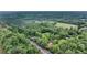 Aerial view of a property surrounded by dense, green trees, featuring a pond and quaint building at 516 Hope Plantation Ln, Jacksonboro, SC 29452