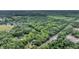 Lush, green aerial view featuring a wooded area with a pond and roads for easy access at 516 Hope Plantation Ln, Jacksonboro, SC 29452