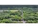 Expansive aerial view showcasing a verdant landscape, road access, and nearby greenery and fields at 516 Hope Plantation Ln, Jacksonboro, SC 29452