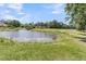 Tranquil pond surrounded by lush green grass and mature trees at 8662 W Fairway Woods Dr, North Charleston, SC 29420