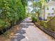 Long, private driveway lined with mature landscaping leading to a secluded home, with ample parking space at 952 Mccants Dr, Mount Pleasant, SC 29464