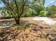 Image of a partially cleared property showcasing a large tree in the foreground at 952 Mccants Dr, Mount Pleasant, SC 29464