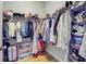 Walk-in closet with shelving, clothes rods, and neatly organized items at 104 Wando Reach Rd, Wando, SC 29492